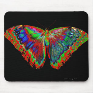 Colourful Butterfly design against black backdrop Mouse Mat