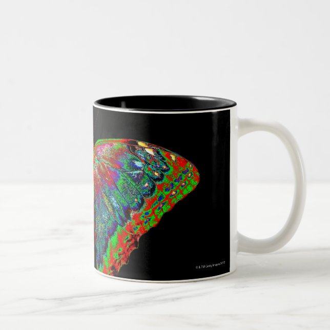 Colourful Butterfly design against black backdrop Two-Tone Coffee Mug (Right)