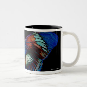 Colourful Butterfly design against black backdrop Two-Tone Coffee Mug