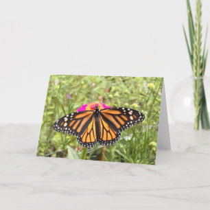 Colourful Butterfly Greeting Card