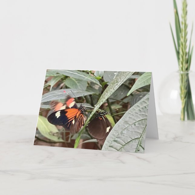 Colourful Butterfly Greeting Card (Front)