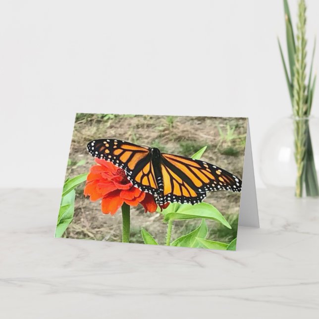 Colourful Butterfly Greeting  Card (Front)