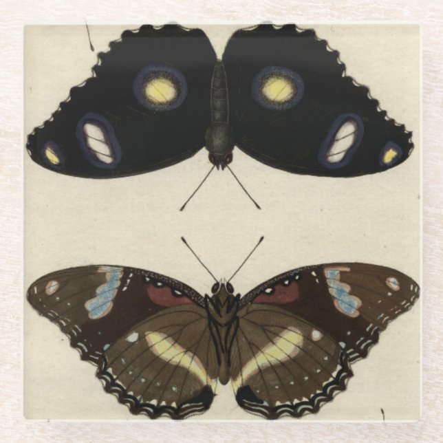 Colourful Butterfly Medley on Cream Background Glass Coaster (Front)