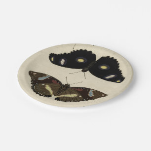 Colourful Butterfly Medley on Cream Background Paper Plate