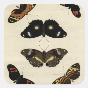 Colourful Butterfly Medley on Cream Background Square Sticker