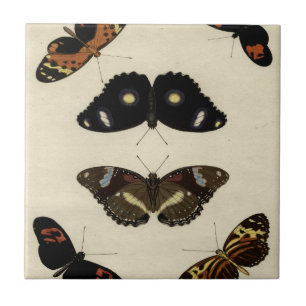 Colourful Butterfly Medley on Cream Background Tile