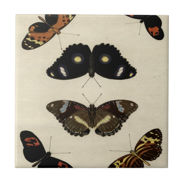 Colourful Butterfly Medley on Cream Background Tile (Front)
