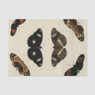 Colourful Butterfly Medley on Cream Background Tissue Paper