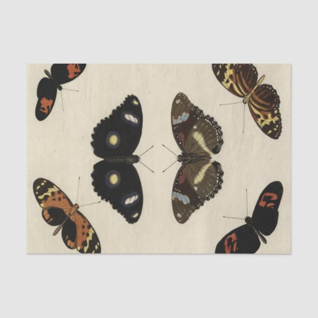 Colourful Butterfly Medley on Cream Background Tissue Paper (Front)