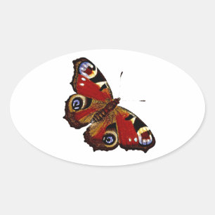 Colourful Butterfly Oval Sticker