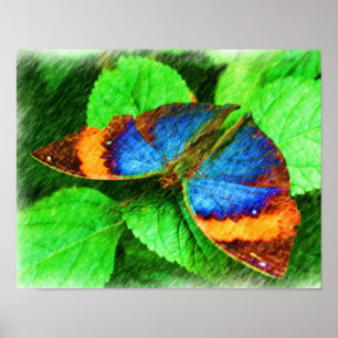 Colourful Butterfly Pencil Art Nature Poster