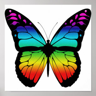 Colourful Butterfly Poster