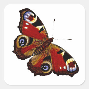 Colourful Butterfly Square Sticker