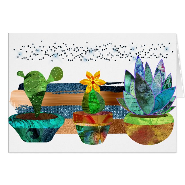 Colourful Cactus and Succulents (Front Horizontal)