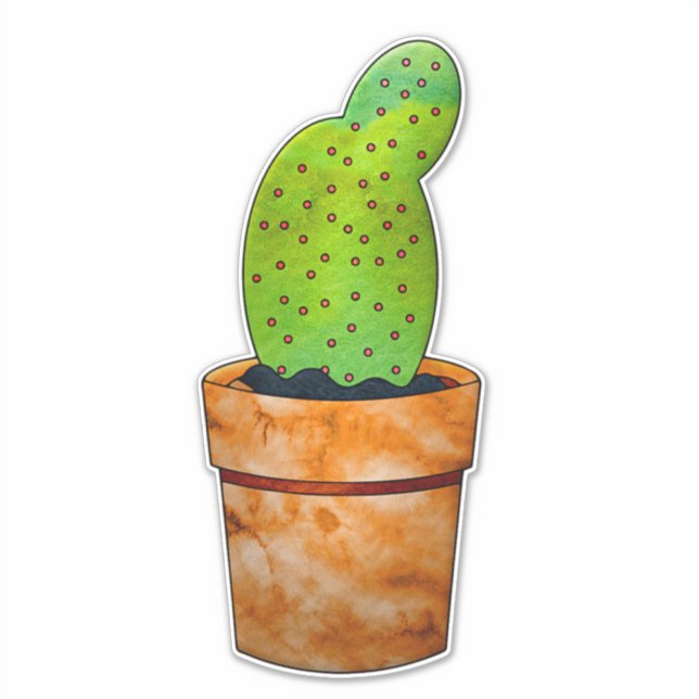 Colourful Cactus Garden (Front)