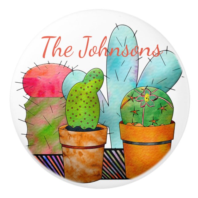 Colourful Cactus Garden Ceramic Knob (Front)