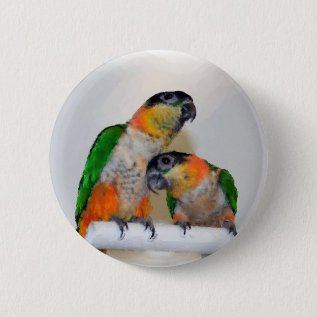Colourful Caique Parrot Pair Button (Front)