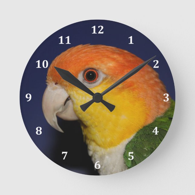 Colourful Caique Parrot Round Clock (Front)