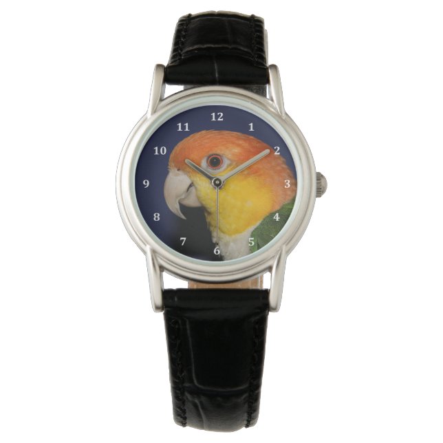 Colourful Caique Parrot Watch (Front)