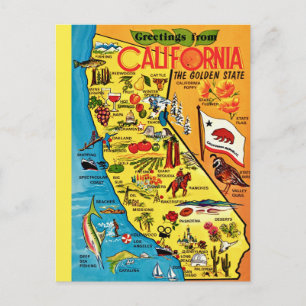  Colourful California State  Postcard