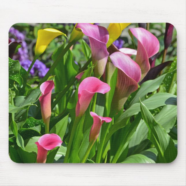 Colourful calla lily flowers mouse mat (Front)