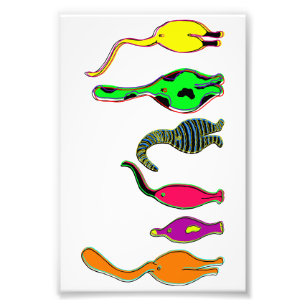 Colourful Cat Butts Photo Print