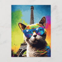 Colourful Cat in Sunglasses in Paris