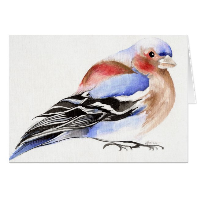 Colourful Chaffinch 2011 (Front Horizontal)