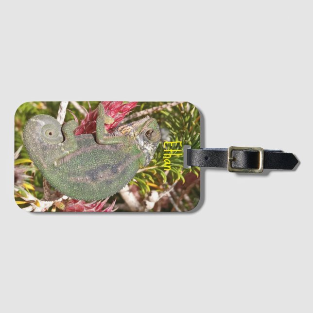 Colourful Chameleon Luggage Tag (Front Horizontal)
