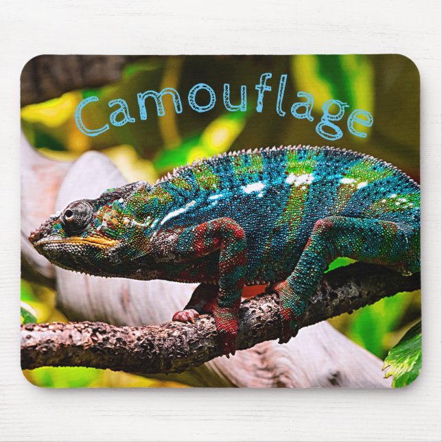 Colourful Chameleon Mouse Mat (Front)