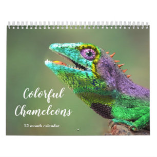 Colourful Chameleons 2025 Calendar
