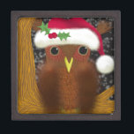 Colourful Christmas Eve Owl Jewellery Box<br><div class="desc">The Christmas Eve Owl is decked out in his Santa hat.  Waiting to see Santa pass by in the night sky,  sitting on his favourite tree branch.</div>