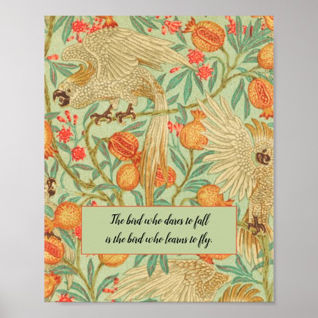 Colourful Cockatoo Vintage Bird Poster (Front)