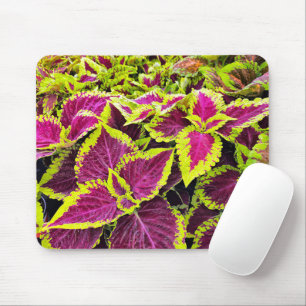 Colourful Coleus Leaves Mouse Mat
