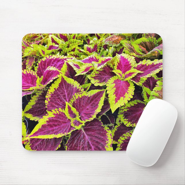 Colourful Coleus Leaves Mouse Mat (With Mouse)