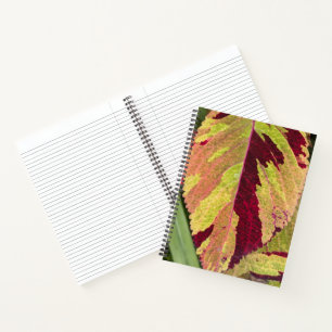 Colourful Coleus Plant Leaf Floral Notebook