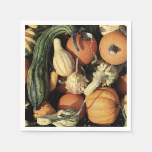 Colourful Collection of Autumn Gourds Napkin