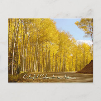 Colourful Colorado in Autumn Postcard