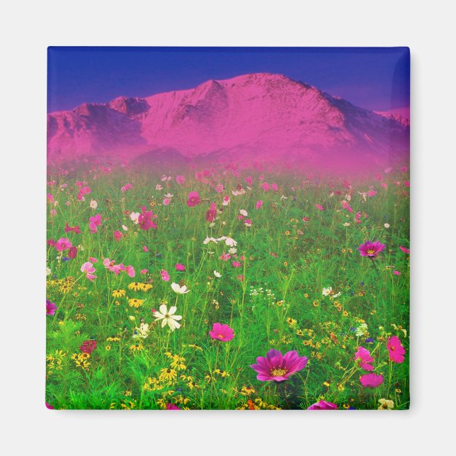 Colourful Colorado, Pikes Peak Mountain Magnet (Front)