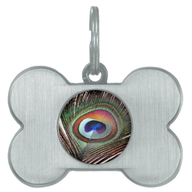 Colourful Copper Peacock Feather Pet ID Tag (Front)