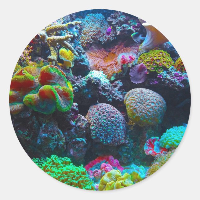 Colourful Coral Classic Round Sticker (Front)