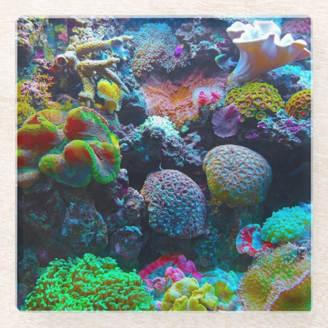 Colourful Coral Glass Coaster (Front)