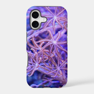 Colourful Coral reefs