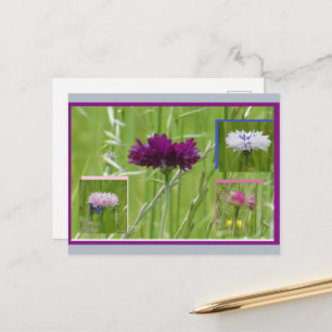 Colourful Cornflowers Collage DIY Postcard