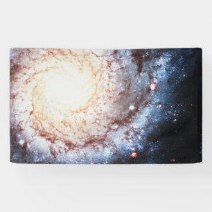 Colourful Cosmos Banner