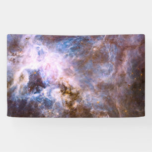 Colourful Cosmos Banner