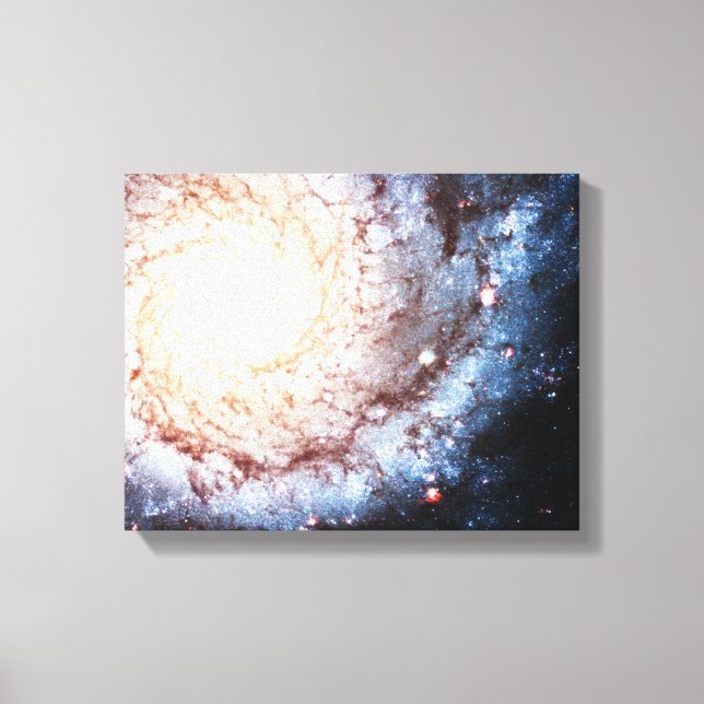 Colourful Cosmos Canvas Print (Front)