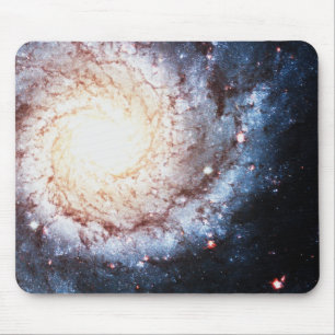 Colourful Cosmos Mouse Mat