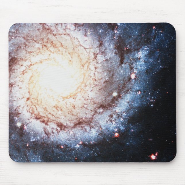 Colourful Cosmos Mouse Mat (Front)
