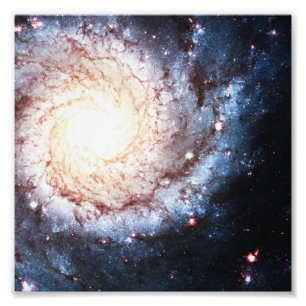 Colourful Cosmos Photo Print